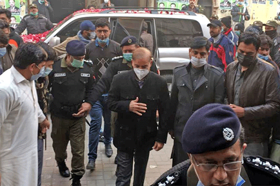 Money laundering case hearing, Shahbaz Sharif's request to form a medical board again