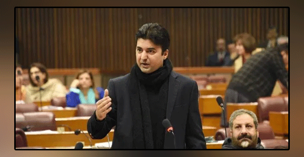 Indian incitement against Pakistan, Murad Saeed highlighted the need for debate in both the houses