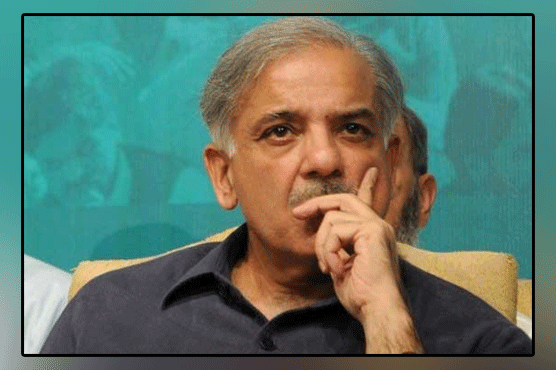 Save the nation 600 billion rupees, NAB should thank me: Mian Shahbaz Sharif