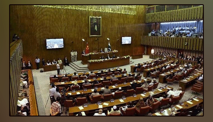 The government decided to amend the constitution for the Senate elections