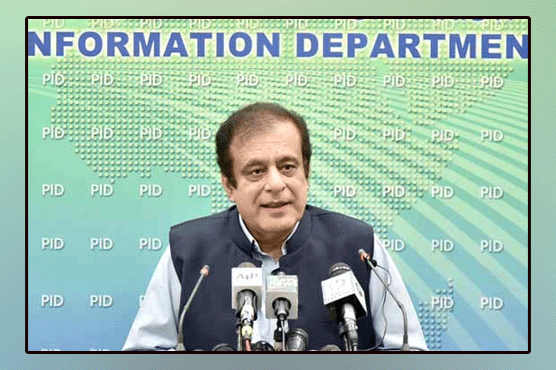 Newborn political heirs are responsible for PDM's demise: Shibli Faraz