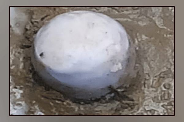 Extreme superstition, Hindus continued to worship the 