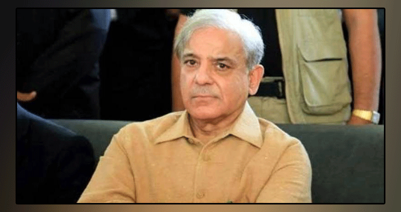 Money laundering case: Judge angry over Mian Shahbaz Sharif's political talk