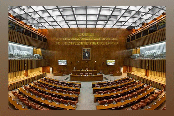 Who will be the PPP candidates in the Senate elections? Possible names came up