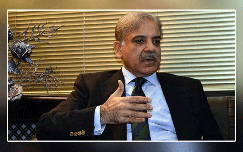 Rulers have no knowledge of economy and suffering of people: Shahbaz Sharif