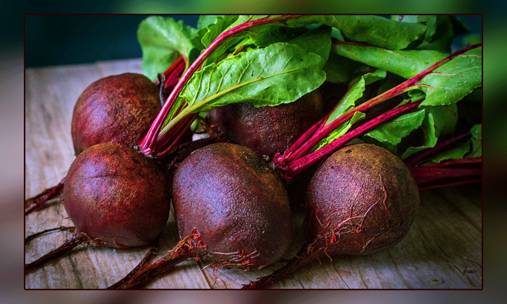 Department of Agriculture instructs farmers to start beet cultivation from mid-August