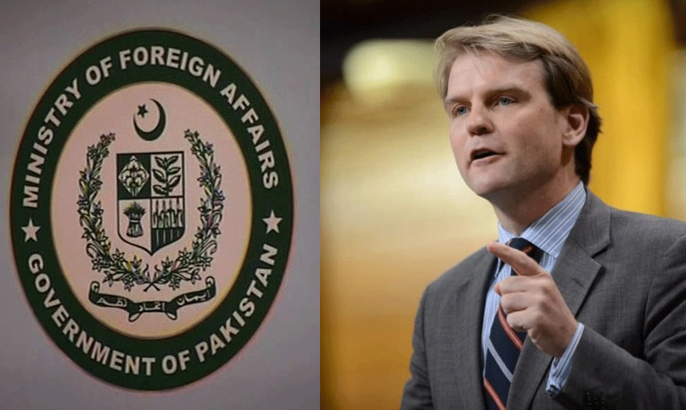 Former Canadian minister's negative statement about Pakistan, Foreign Office strongly condemned