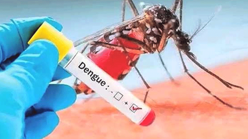 Dengue has started spreading, 167 cases have been reported in Lahore during the last 24 hours