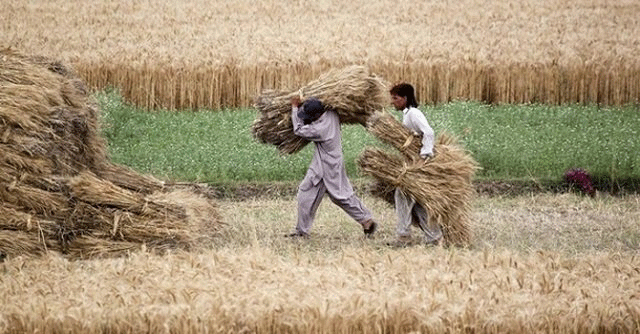 Fear of serious effects of climate change on agriculture