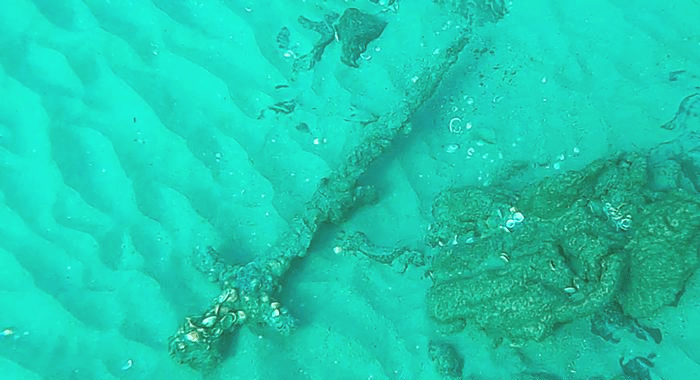 900-year-old Crusader sword discovered in the Mediterranean Sea