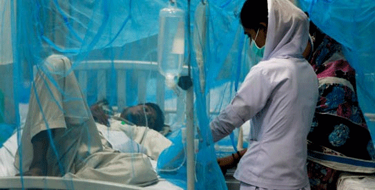Dengue continues in Lahore, 3 patients killed, 266 cases reported